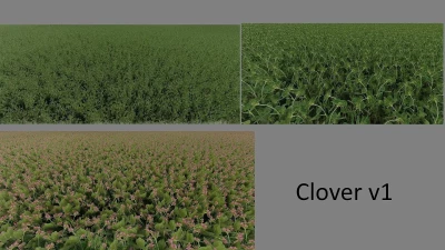 Clover and Alfalfa Texture v1.0.0.1