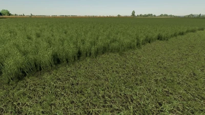 Grass Texture v1.0.0.1