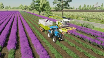 Lavender in Rows (Prefab) v1.0.0.1