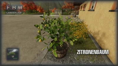 Lemon Tree v1.0.0.0