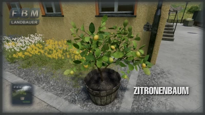 Lemon Tree v1.0.0.0