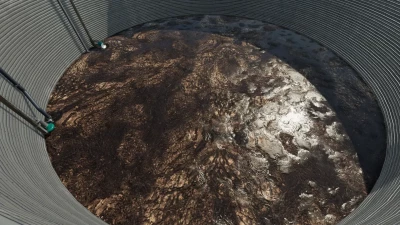 Manure and dung texture v1.0.0.0