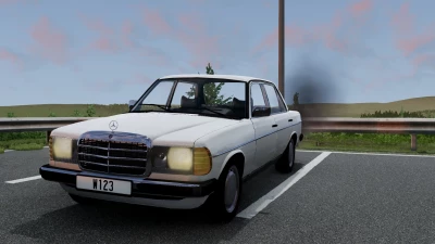 Mercedes-benz w123 0.33