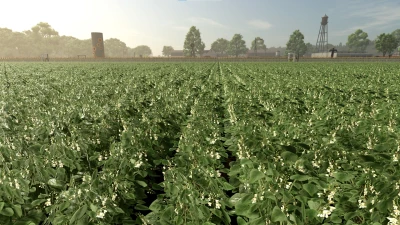 New Crop: Green Beans v1.0.0.0