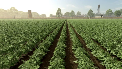 New Crop: Green Beans v1.0.0.0