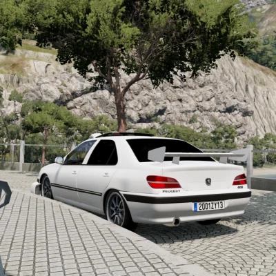 Peugeot 406 2007 0.32