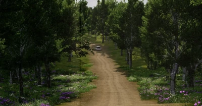 Polish Roads (remaster) v1.2