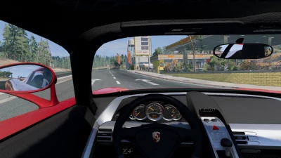 Porsche Carrera GT v1.0 0.32.x