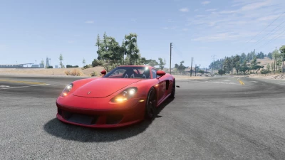 Porsche Carrera GT v1.0 0.32.x