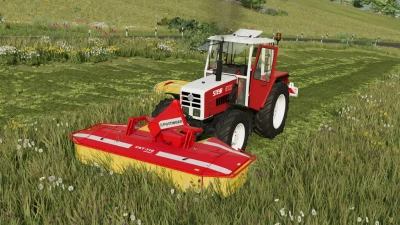 Steyr Series 80 v1.1.0.0