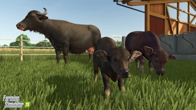 Water Buffalos + Interview with our Lead Character Artist v1.0.0.0