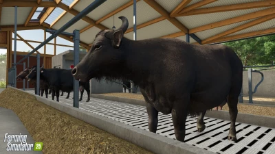 Water Buffalos + Interview with our Lead Character Artist v1.0.0.0