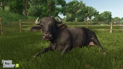 Water Buffalos + Interview with our Lead Character Artist v1.0.0.0