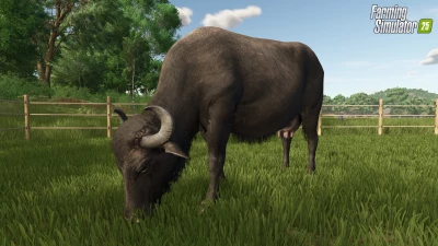 Water Buffalos + Interview with our Lead Character Artist v1.0.0.0