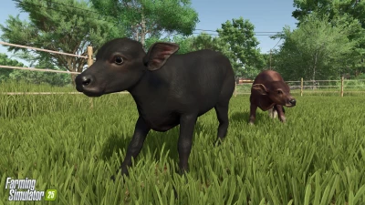 Water Buffalos + Interview with our Lead Character Artist v1.0.0.0