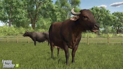 Water Buffalos + Interview with our Lead Character Artist v1.0.0.0