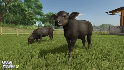 Water Buffalos + Interview with our Lead Character Artist v1.0.0.0