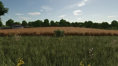 Cheeky Badger Map 4X V1.2.0.2