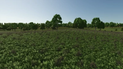 Cheeky Badger Map 4X V1.2.0.2