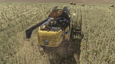 FS25 Realistic Maize Texture v1.0.0.0