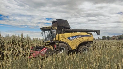 FS25 Realistic Maize Texture v1.0.0.0