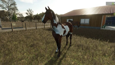 Happy Horse v1.0.0.0