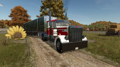 Peterbilt 359 v1.0.0.0