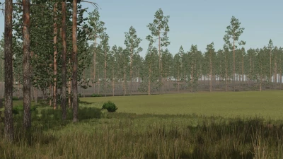 Pinewood Forest v1.2.1.0