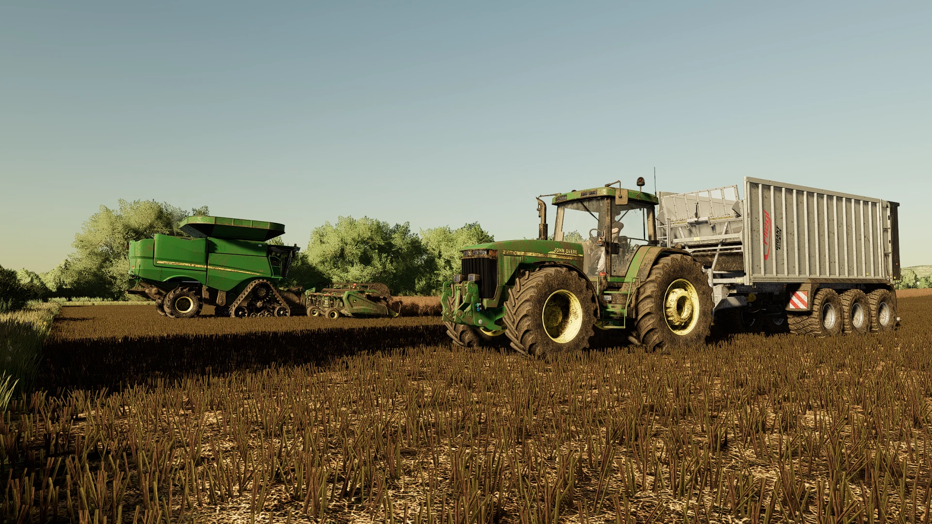 Harvesting canola