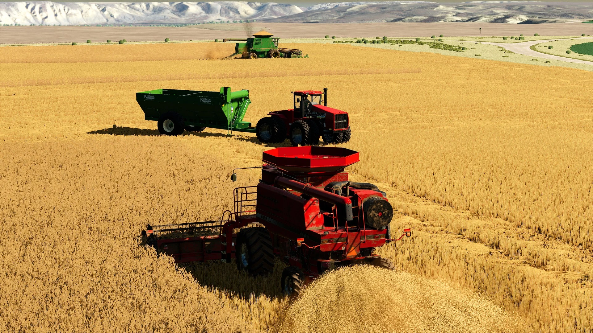 Wheat harvest on Loma