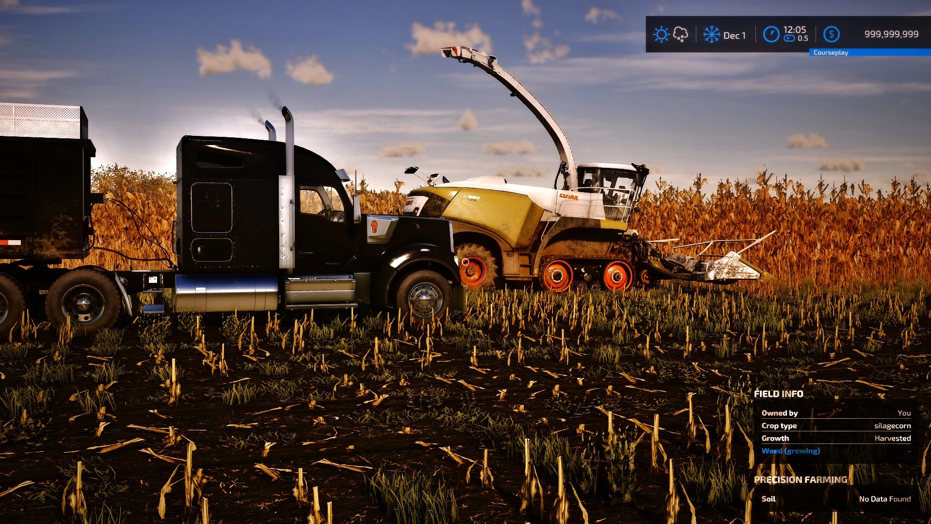 silage harvest